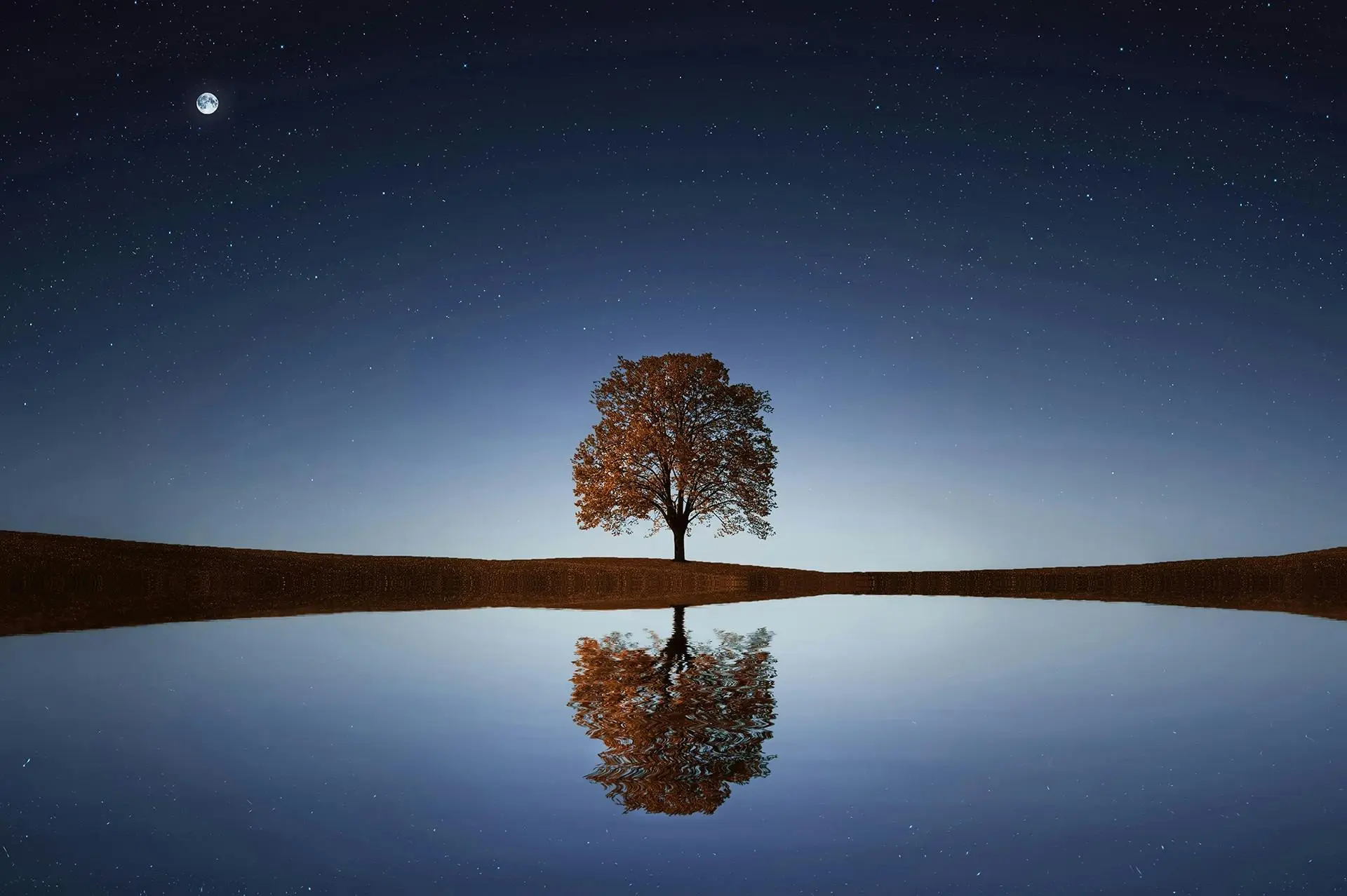 Single tree with reflection under starry sky and moon